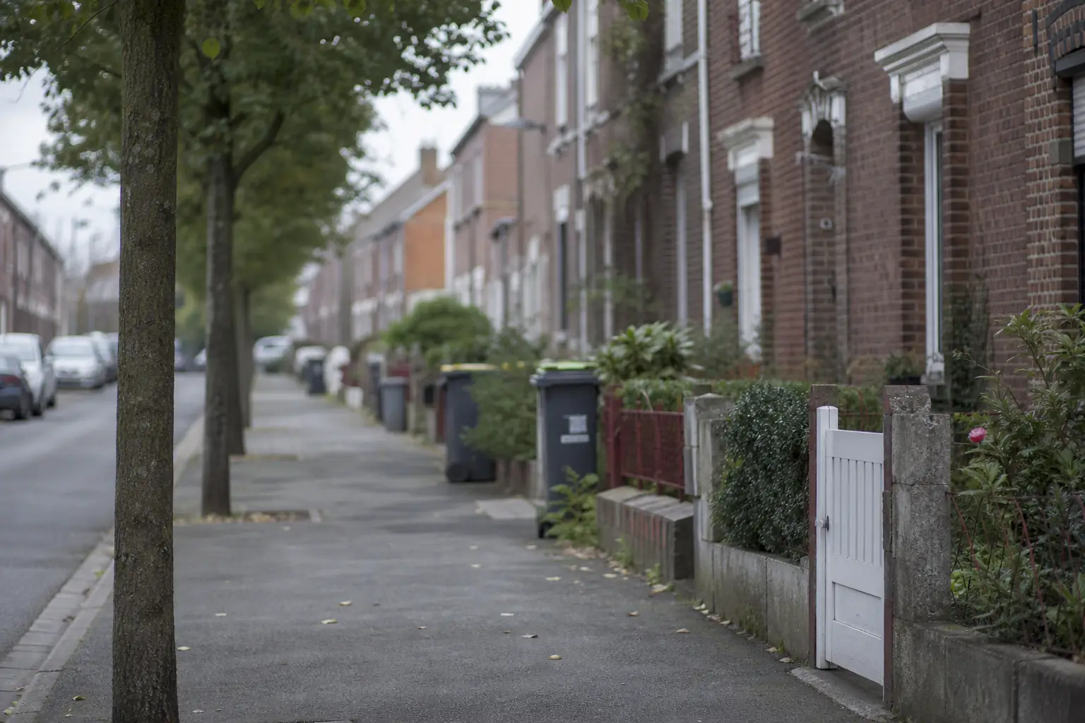 Rue d’une commune résidentielle du Nord, maisons de brique mitoyennes à jardinets et arbres d’alignement